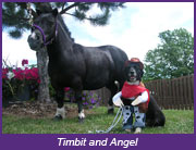 Timbit and Angel